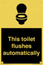 this-toilet-flushes-automatically~